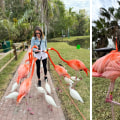 Empowering Youth: Exploring Community Service Opportunities in Sarasota County, Florida