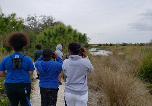 Celebrating Diversity: Exploring Youth Programs in Sarasota County, Florida